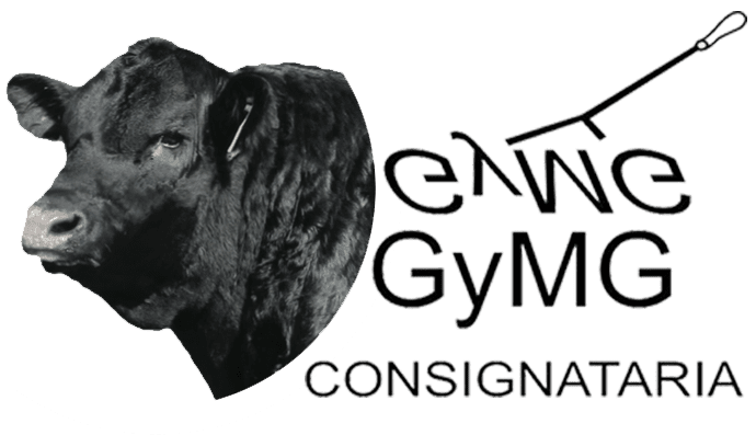 Segundo logo de GyMG