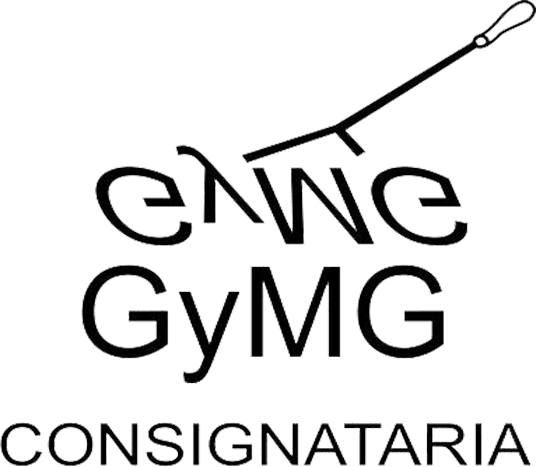 GyMG Consignataria